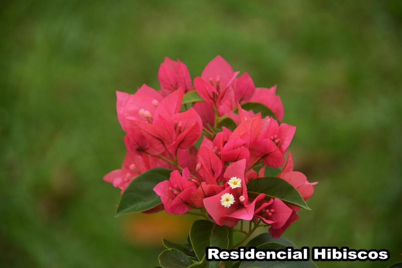 فيلا Residencial Hibiscos - Vista Mar غاروبابا المظهر الخارجي الصورة