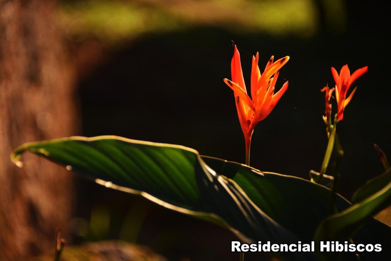 فيلا Residencial Hibiscos - Vista Mar غاروبابا المظهر الخارجي الصورة